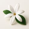 Tiare Flower