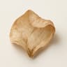 White Tobacco