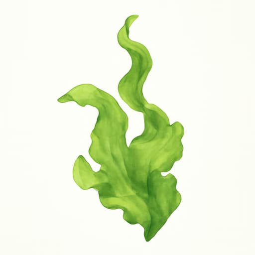 Algae