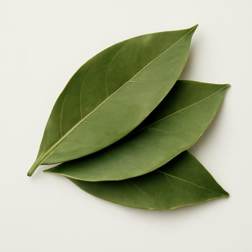 Bay Essence