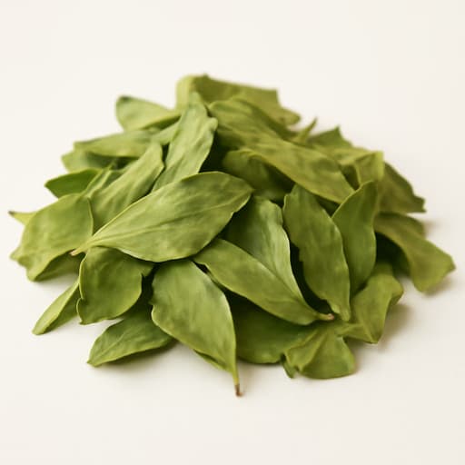 Buchu or Agathosma