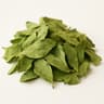 Buchu or Agathosma
