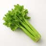 Celery