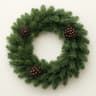 Fresh Evergreen