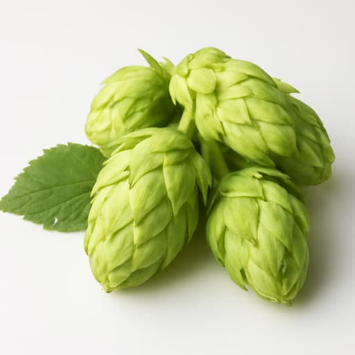 Hops