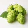 Hops