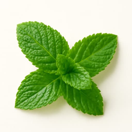 Mint
