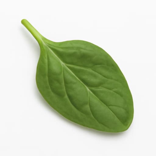 Spinach