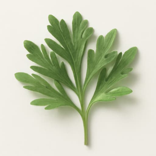 Wormwood