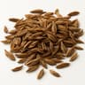 Caraway