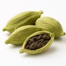 Cardamom