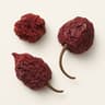 Carolina Reaper