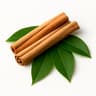 Cinnamon Leaf