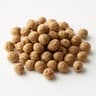 Coriander