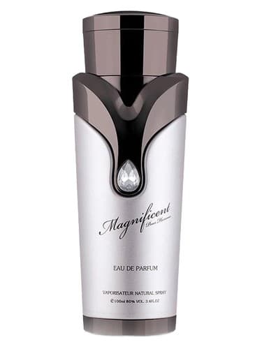 Magnificent Pour Homme