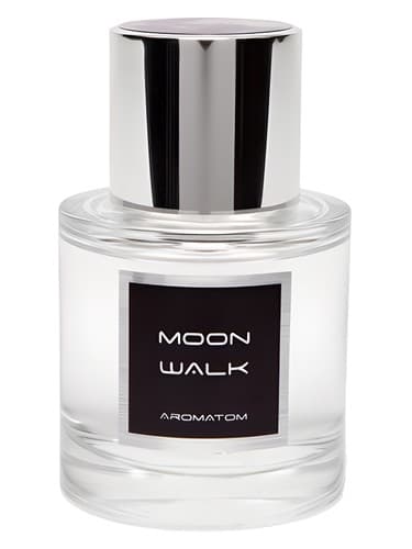 Moon Walk