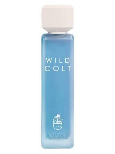 Wild Colt