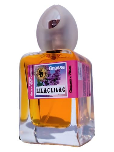 Lilac Lilac