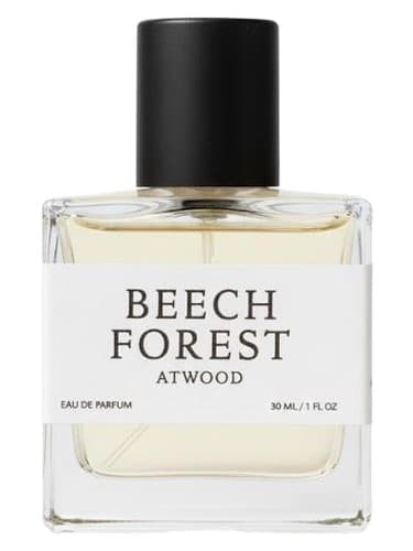 Beech Forest
