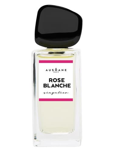 Rose Blanche