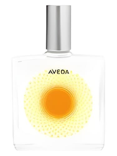 Desert Pure-Fume Dune Primrose