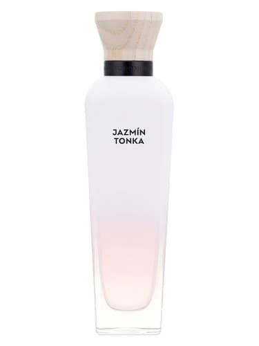 Jazmín Tonka