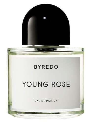 Young Rose