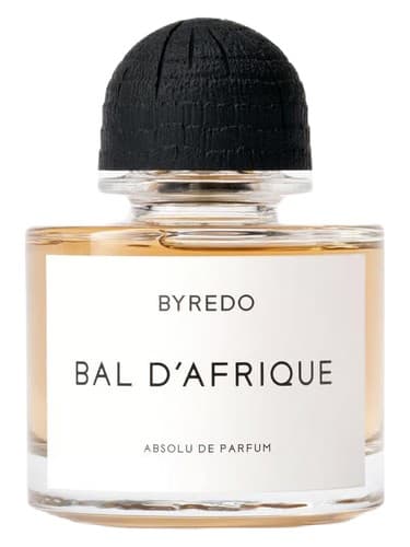 Bal d'Afrique Absolu