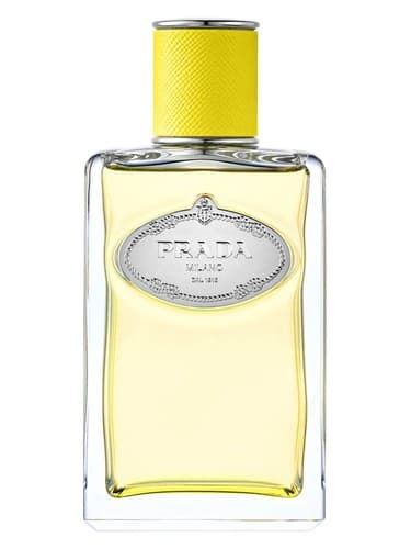 Infusion d'Ylang