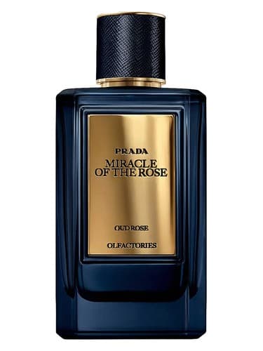 Mirages Miracle of the Rose