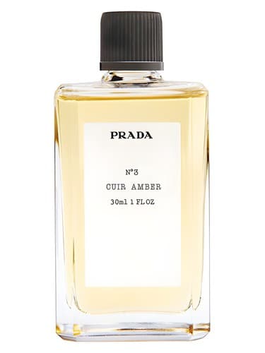 No3 Cuir Amber