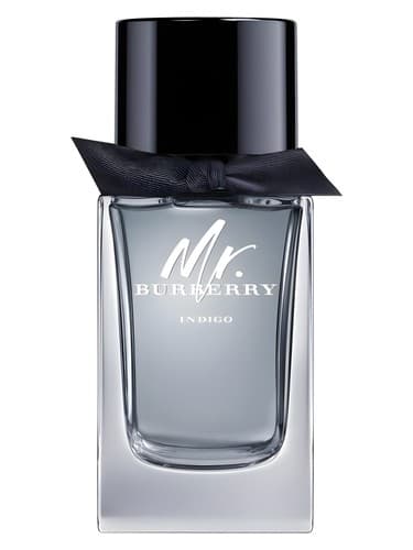 Mr. Burberry Indigo