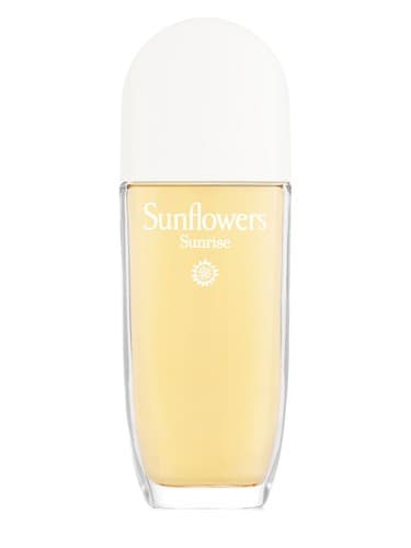 Sunflowers Sunrise