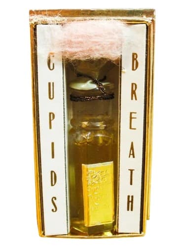 Cupids Breath