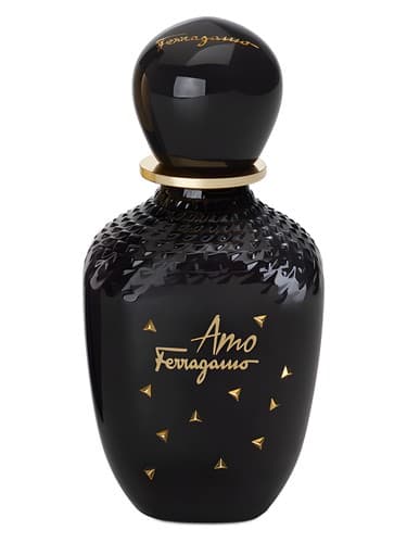Amo Ferragamo Limited Edition