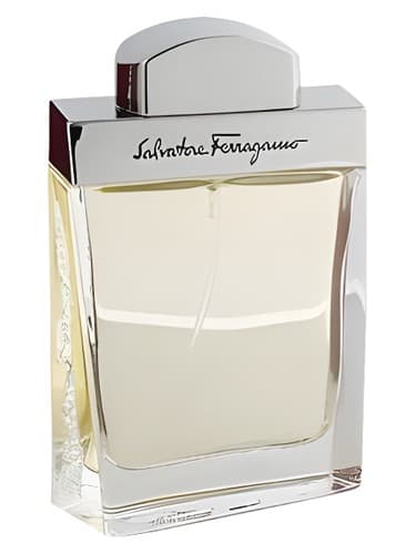 Salvatore Ferragamo Pour Homme