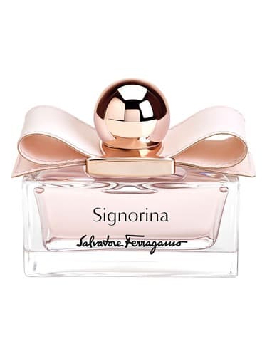 Signorina Leather Edition