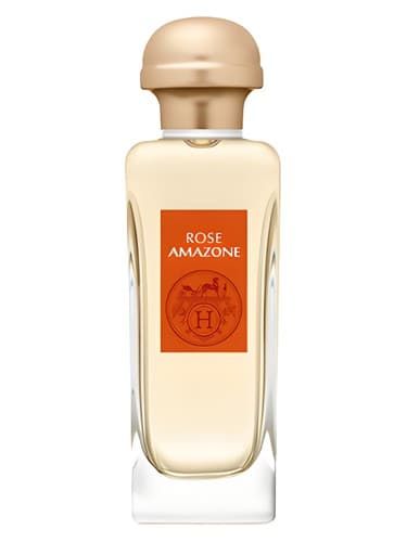 Rose Amazone