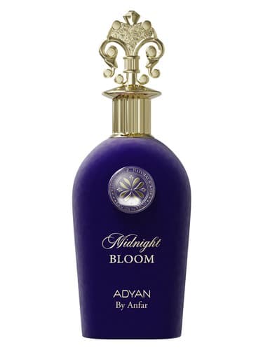 Midnight Bloom