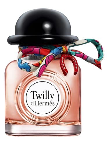 Charming Twilly d'Hermès