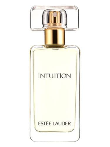 Intuition