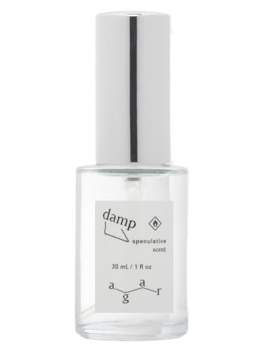 Damp