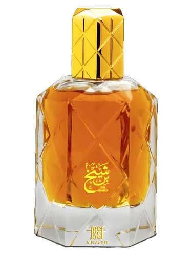 Bin Shaikh