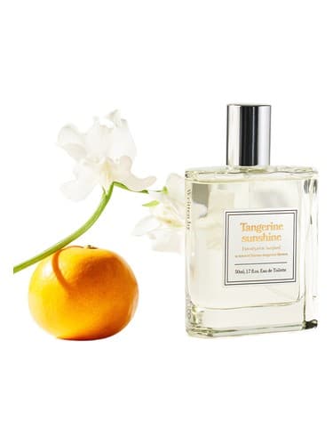 Tangerine Sunshine