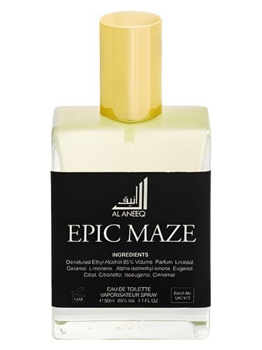 Epic Maze