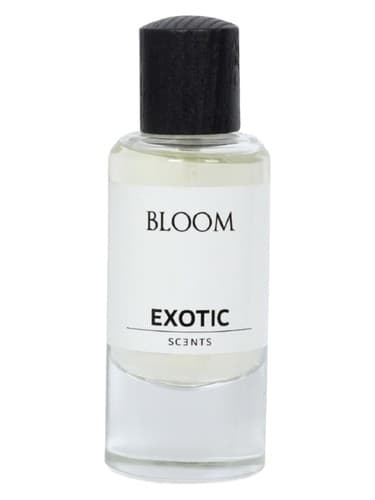 Bloom