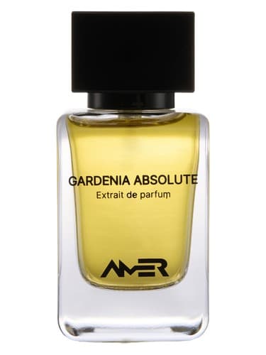 Gardenia Absolute