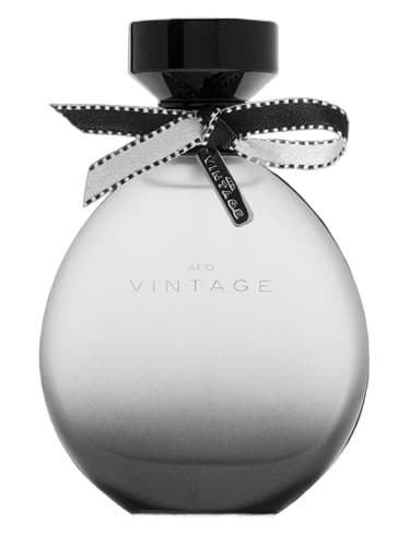 American Eagle AEO Vintage