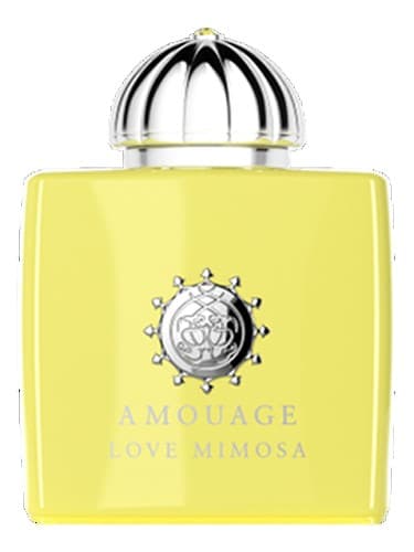 Love Mimosa