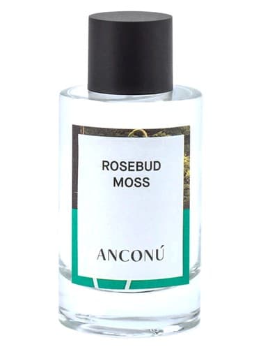 Rosebud Moss